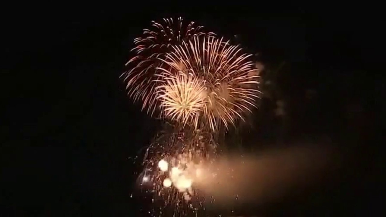 PREVIOUS COVERAGE: Firework Safety: Protecting your furry friends