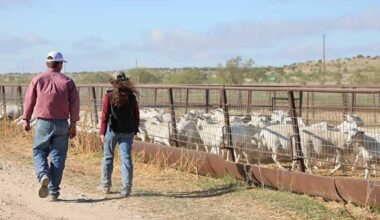 Agriculture alert system available for Texans Texas farmers, ranchers and residents can now receive notifications about agricultural threats, wildlife diseases, invasive pests and quarantine actions through a new alert system.