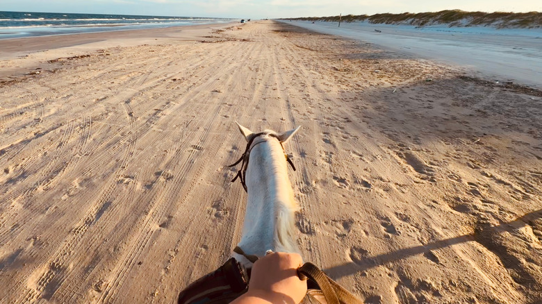 Horseback riding on  the beach on a section of Padre Island