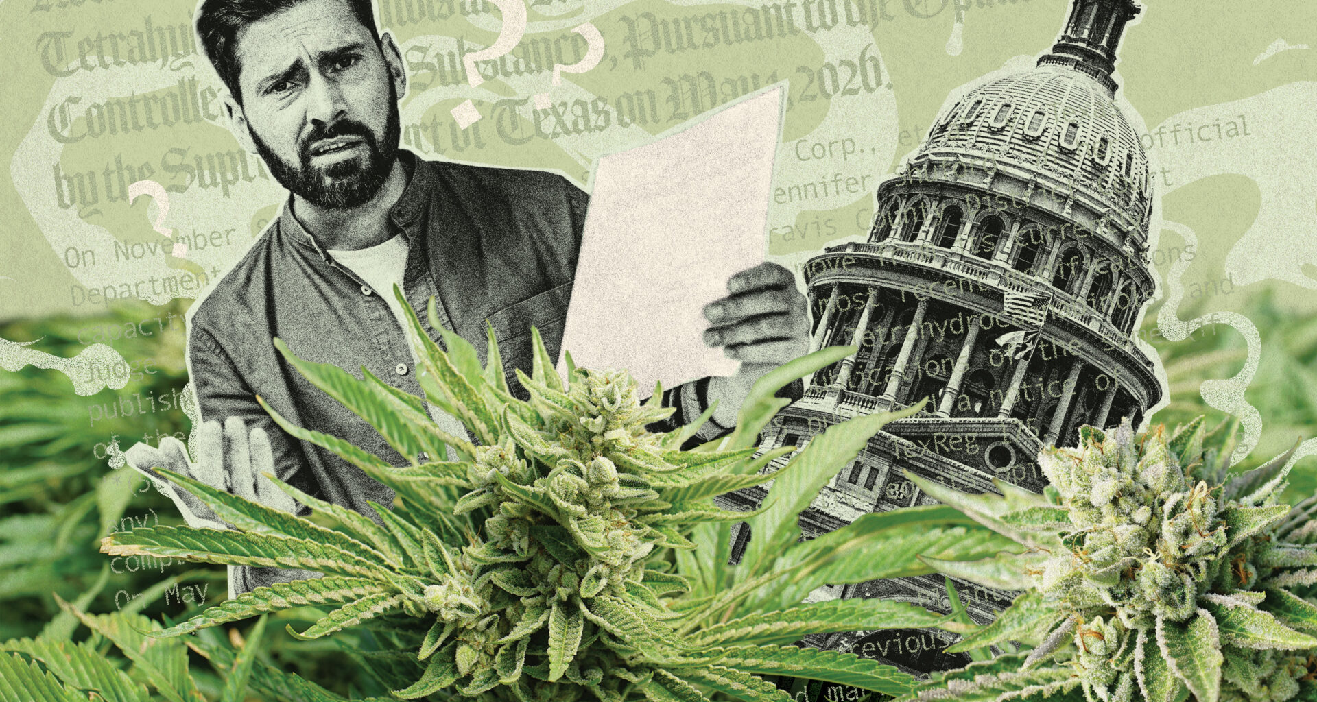 Where the Texas Hemp Market Currently Stands • The Austin Chronicle