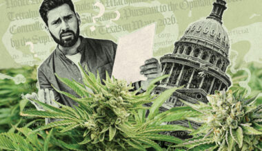 Where the Texas Hemp Market Currently Stands • The Austin Chronicle