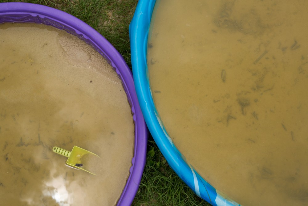 Standing water collects in sandboxes at a neighborhood playground in the Terrell Hills neighborhood. Photo by Scot Ball.
