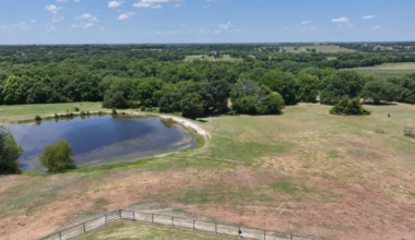 In debate over AI data centers in Texas, it's "rural Texas is dying" vs. "preserve this land"
