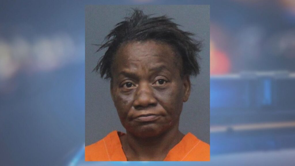 Mugshot of a woman in front of police lights.