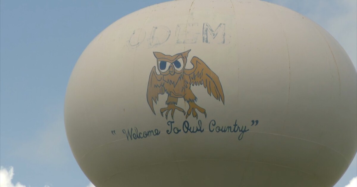 Odem residents weigh in on animal control, possible police department return