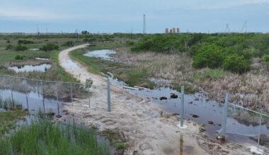 State senator presses Nueces River Authority to explain its finances