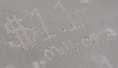 Beachgoers weigh in on how to spend beach parking permit revenue