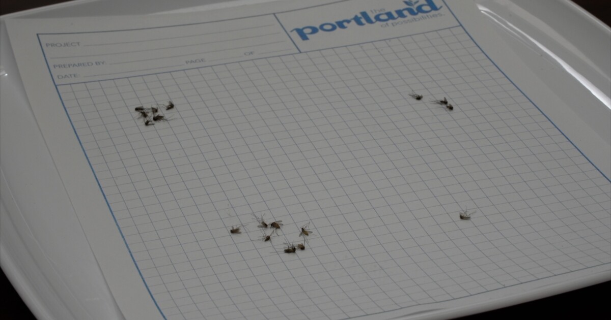 Portland mosquito tests positive for West Nile virus