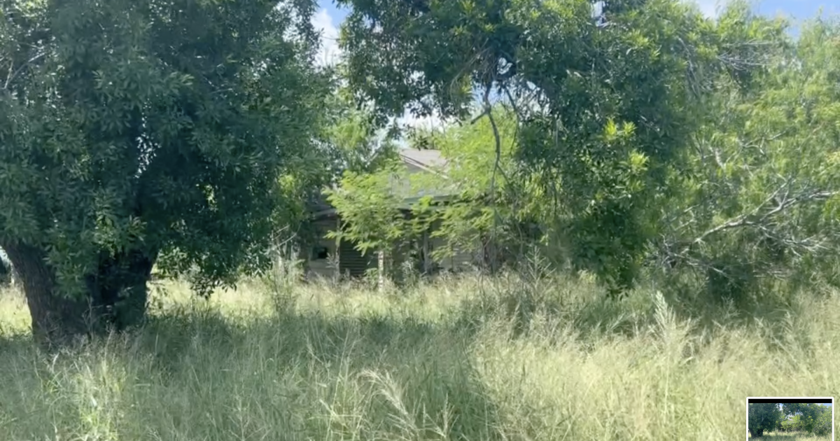 West side residents frustrated by abandoned, overgrown properties