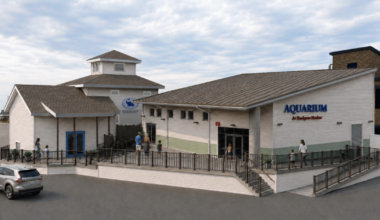 Rockport aquarium one step closer to a comeback