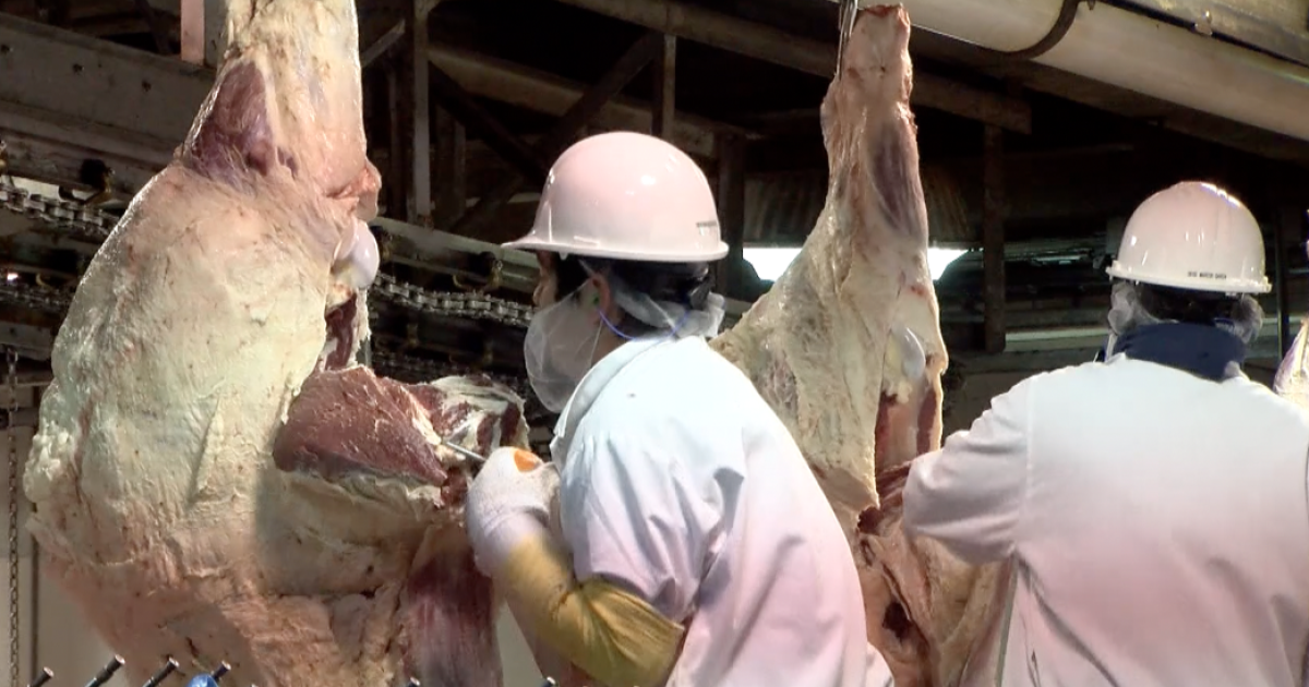 “It was burning your eyes”: Inside the STX Beef Odor Investigation