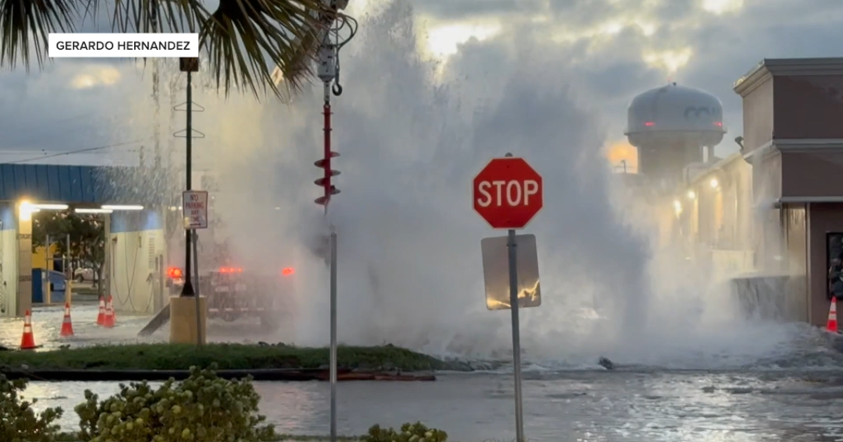KRIS 6 report puts the spotlight on a costly problem for the city