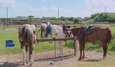 Flour Bluff hobby farm prepares as screwworm reaches South Texas