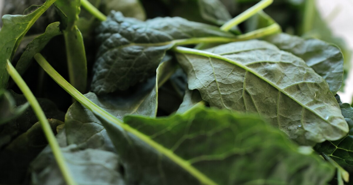 Austin's cyclospora cases remain in normal range
