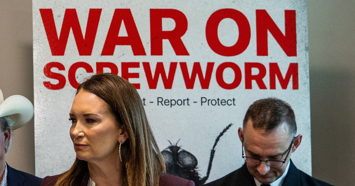 Screwworm detections in Texas grow amid expanding response