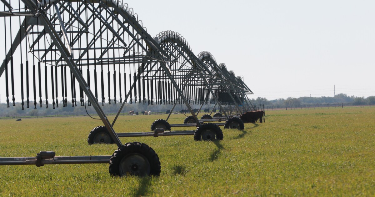 Data centers, drought and development: Inside the Texas water crisis
