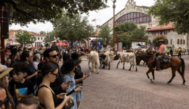Fort Worth Stockyards round up 1.8M visitors during World Cup, officials say
