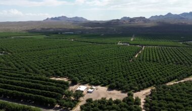 Farmers, activists react to the effects of the Texas v. New Mexico settlement