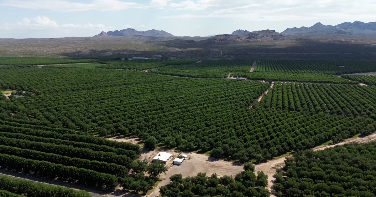Farmers, activists react to the effects of the Texas v. New Mexico settlement