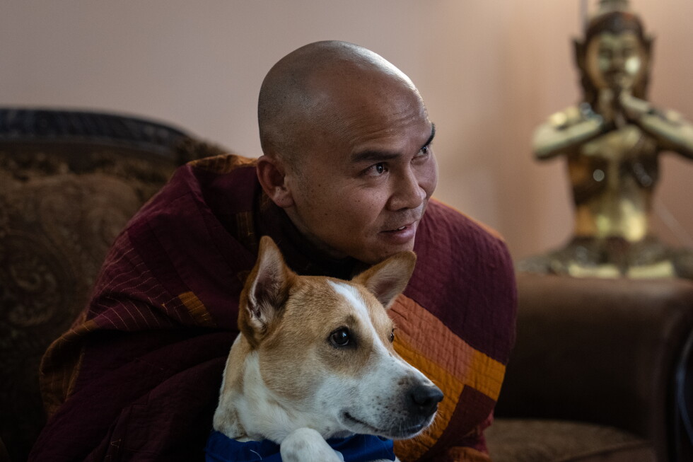 2,300-mile peace walk thrusts Texas monk and his dog into spotlight