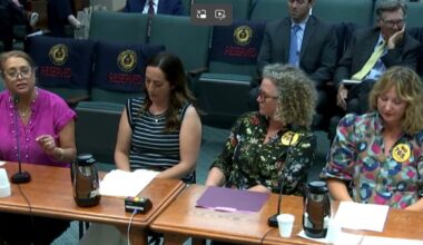 C.C. activist talks about legislation that will call for lynching of politicians