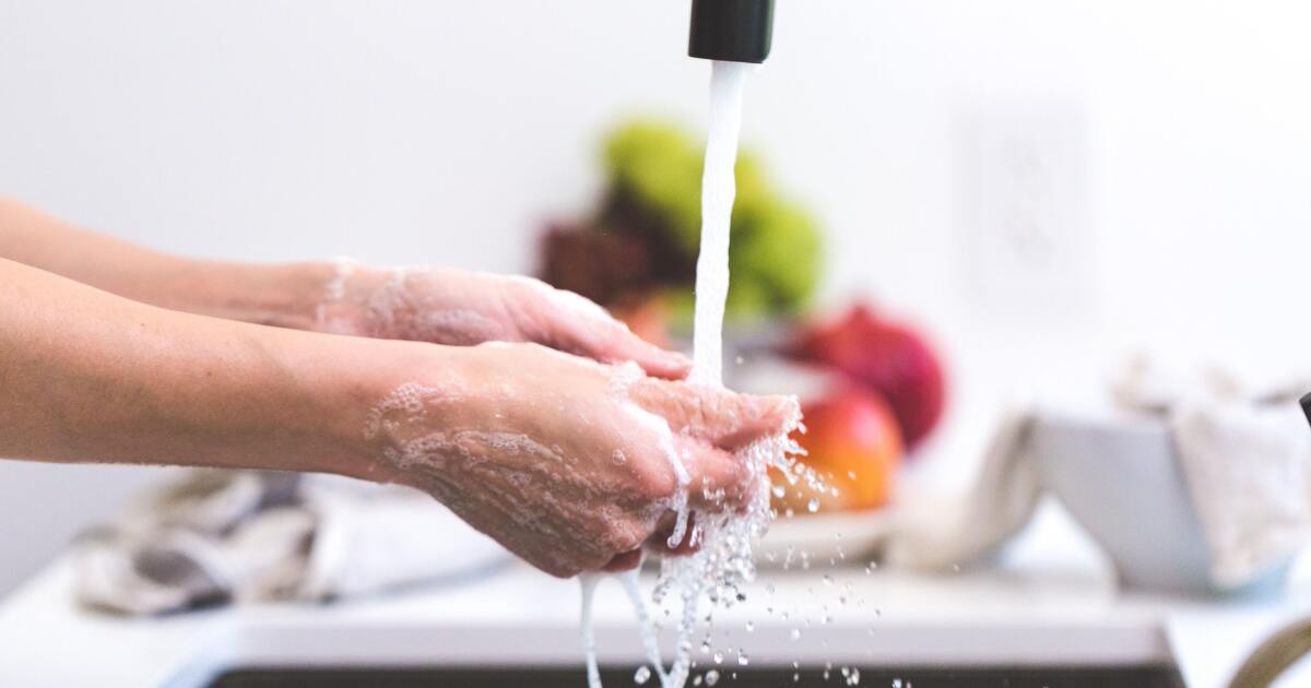 Texas among states in CDC investigation of foodborne parasite outbreak