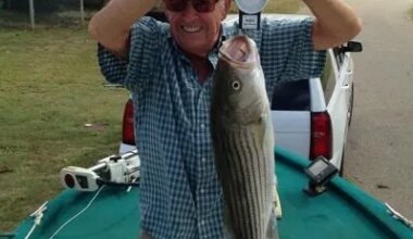 William Frank Shelton - Jan. 15, 1934 – July 20, 2026