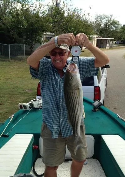 William Frank Shelton - Jan. 15, 1934 – July 20, 2026