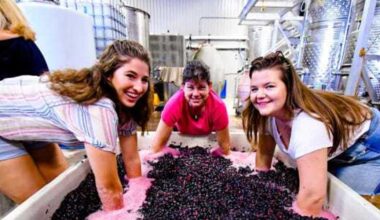 Essential guide to Texas Hill Country wine stomping events