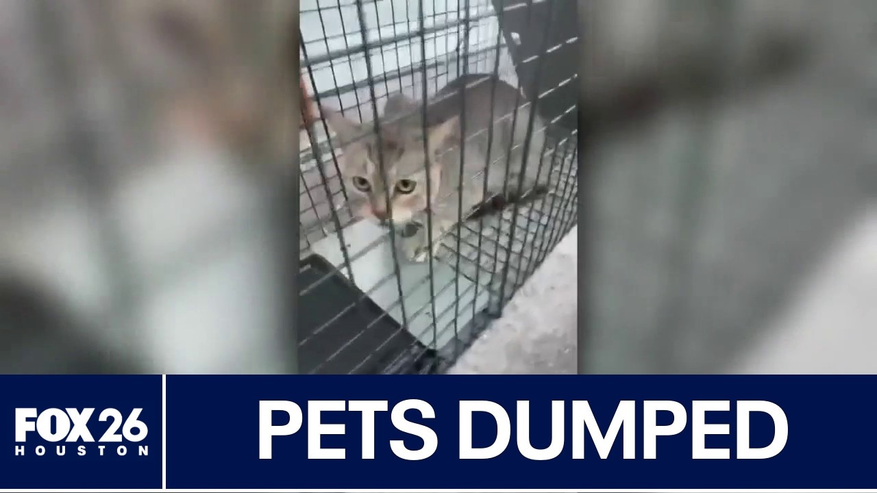 Pets dumped off Lake Houston bridge