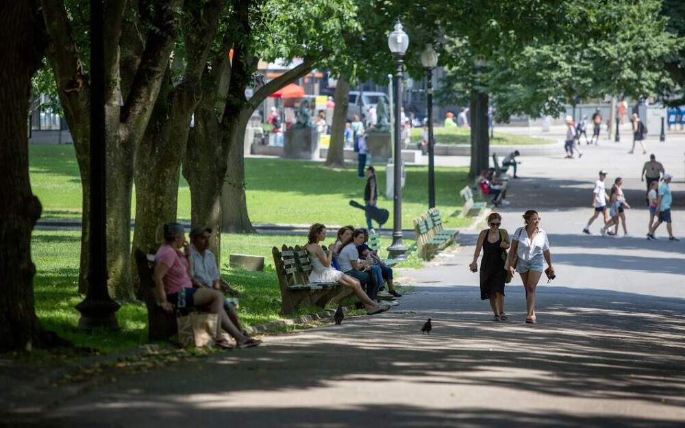 People walk on a shady path in Boston Common. (Robin Lubbock/WBUR)