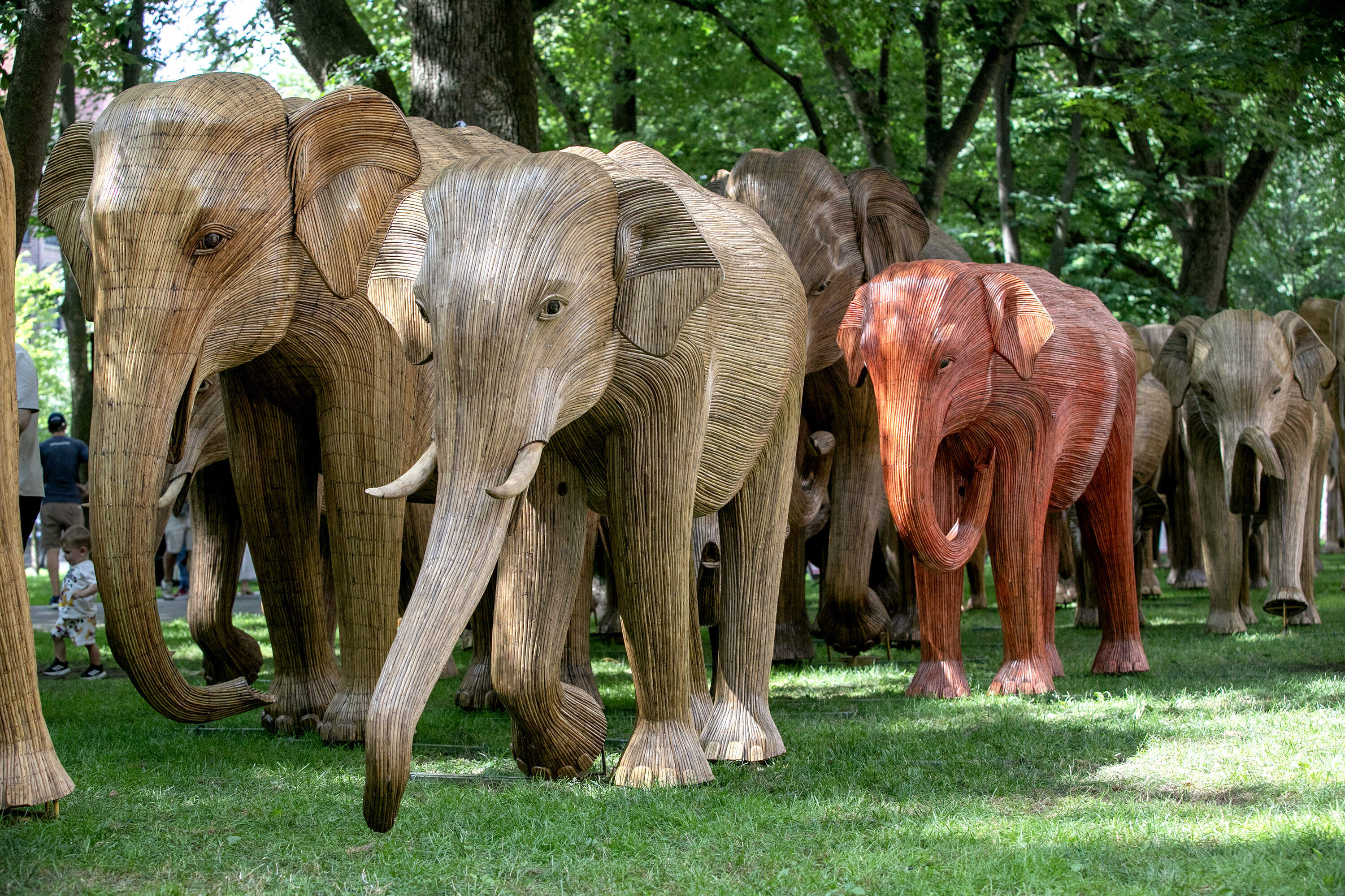 Elephant sculptures in "The Great Elephant Migration" make their way along Commonwealth Avenue Mall. (Robin Lubbock/WBUR)