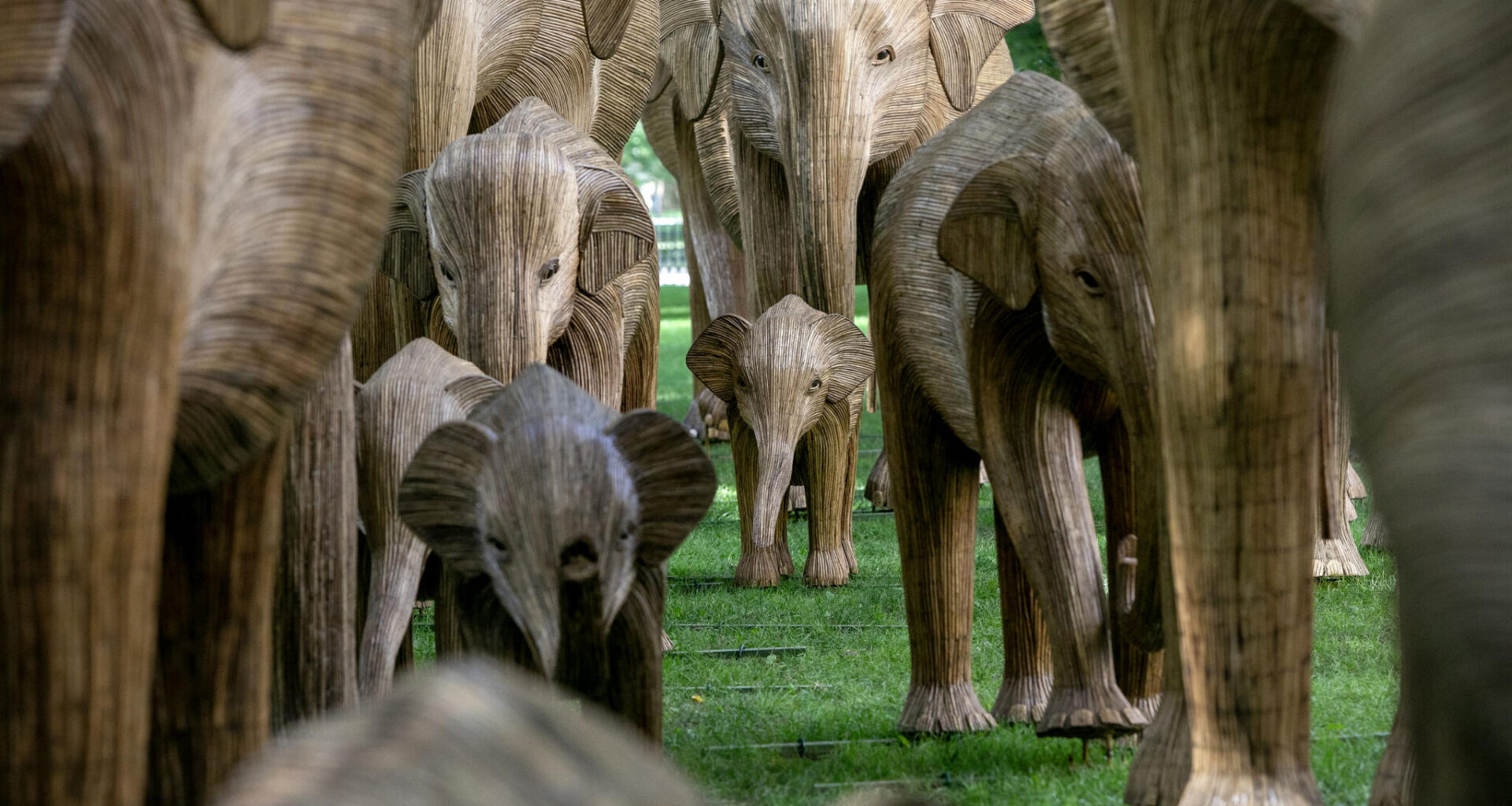 Elephant sculptures in "The Great Elephant Migration" make their way along Commonwealth Avenue Mall. (Robin Lubbock/WBUR)