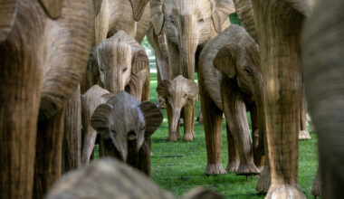 Elephant sculptures in "The Great Elephant Migration" make their way along Commonwealth Avenue Mall. (Robin Lubbock/WBUR)