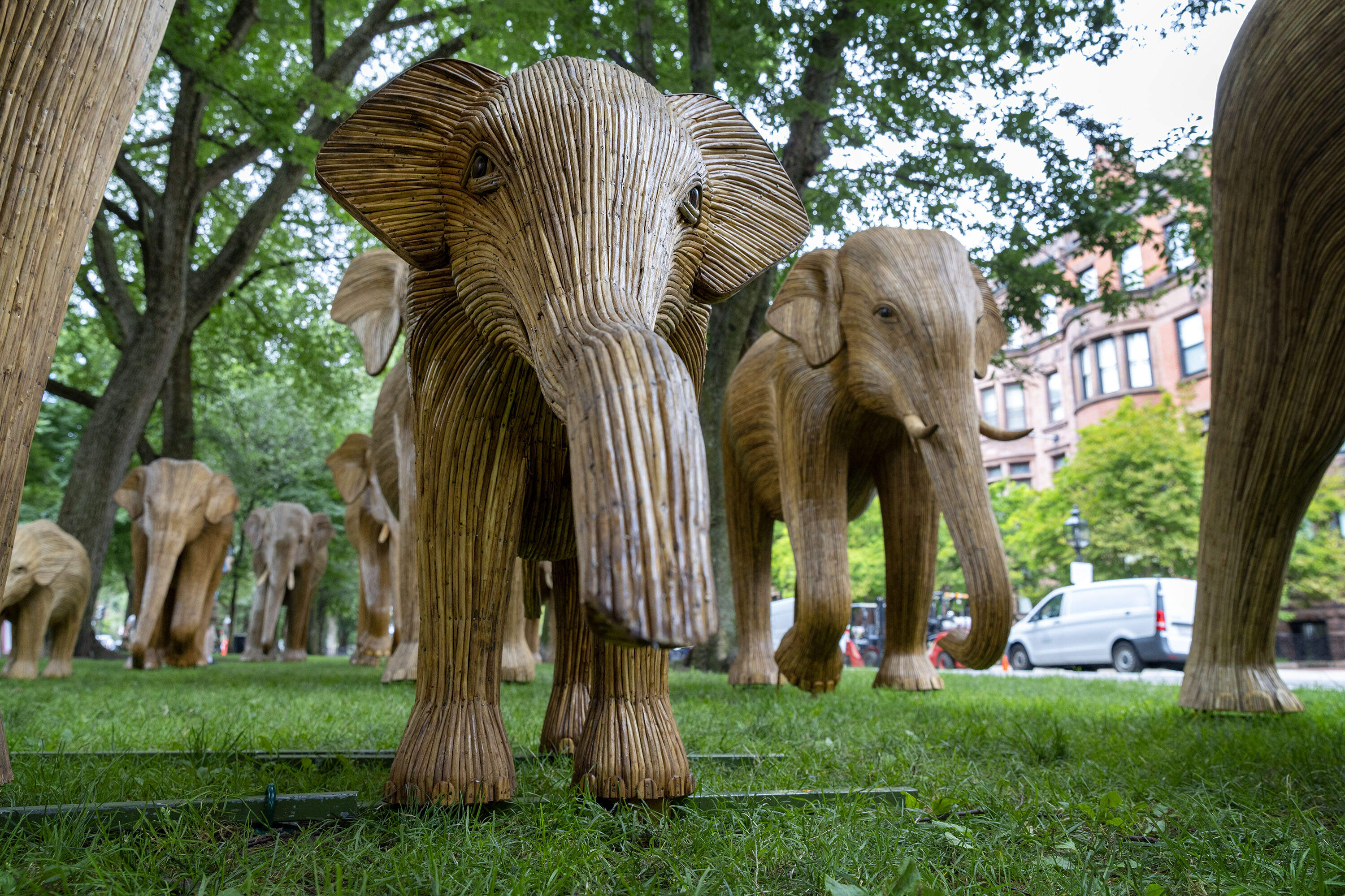A life-sized young elephant sculpture in the "The Great Elephant Migration" installation on Commonwealth Avenue Mall in Boston. (Robin Lubbock/WBUR)