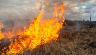 Burn bans, restrictions downgraded in El Paso County, Colorado Springs, officials say