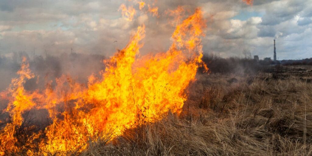 Burn bans, restrictions downgraded in El Paso County, Colorado Springs, officials say