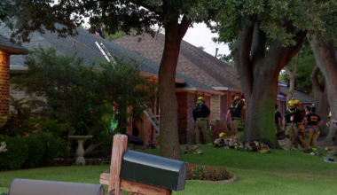 Dallas house fires leave firefighter injured and cat resuscitated – NBC 5 Dallas-Fort Worth