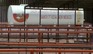 Santa Teresa livestock crossing waits for USDA to reopen