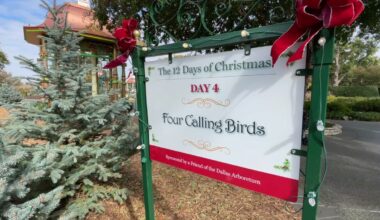 Dallas Arboretum says 12 Days of Christmas gazebos end in 2026 – NBC 5 Dallas-Fort Worth