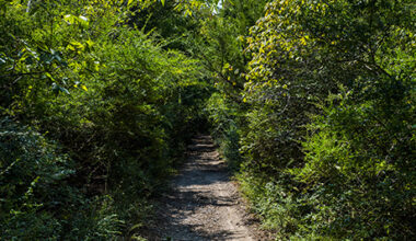 Groundbreaking ceremony held for the first phase of Chalk Hill Trail