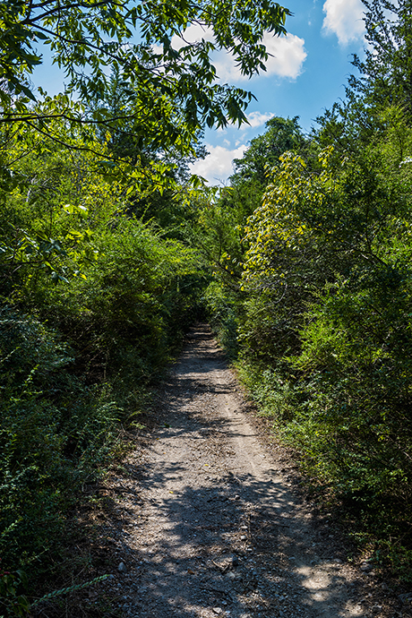 Groundbreaking ceremony held for the first phase of Chalk Hill Trail