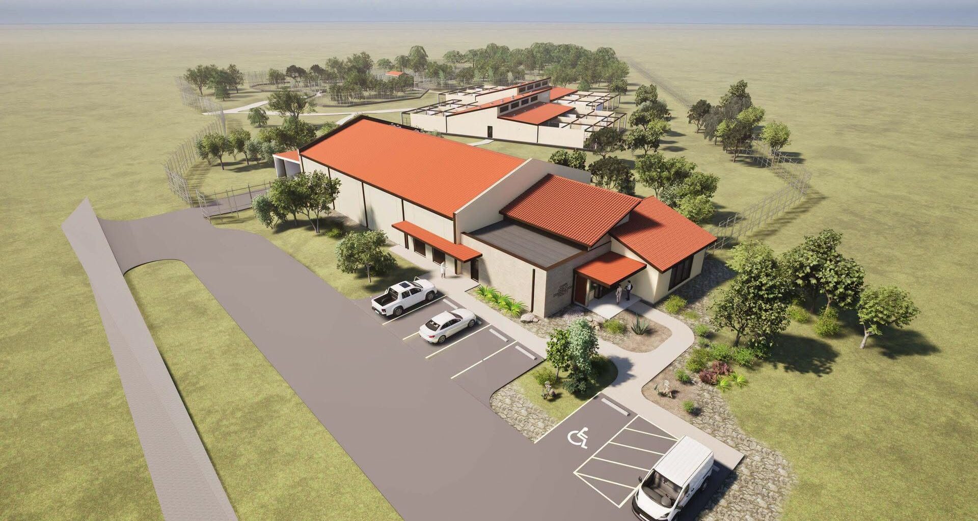 New Texas ocelot conservation facility aims to save endangered cats