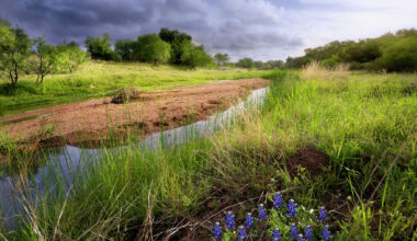 Kampgrounds of America to build $2M campsite in Fredericksburg