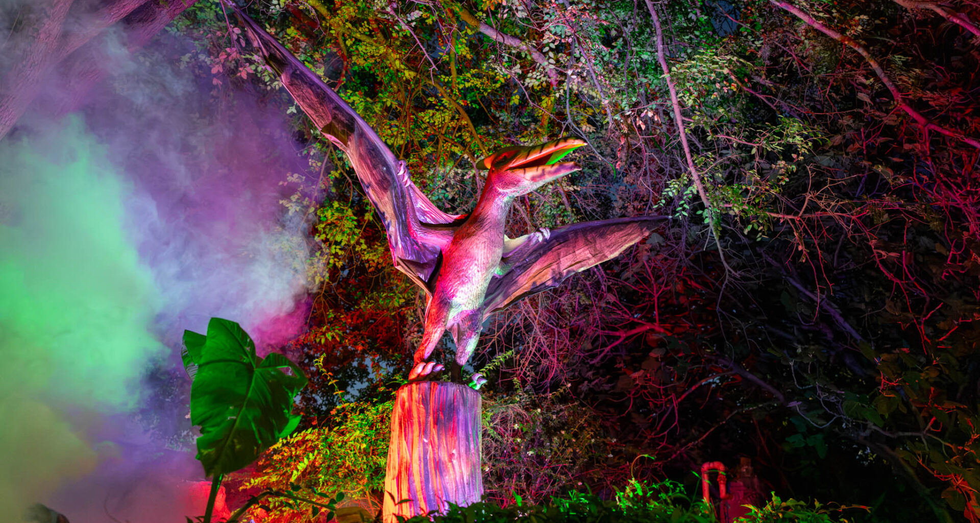 San Antonio Zoo responds to long waits at 'Dinos After Dark'