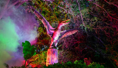 San Antonio Zoo responds to long waits at 'Dinos After Dark'