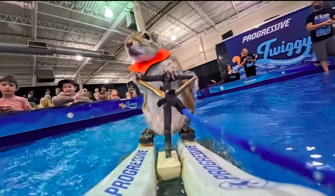 Waterskiing squirrel escapes during show at San Antonio Mall 