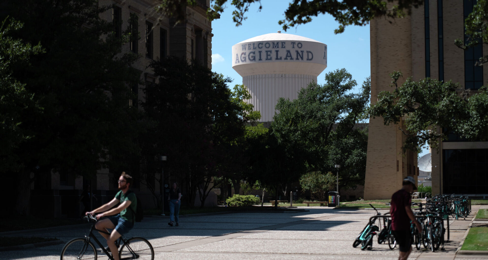 Texas A&M faculty sue university over limits on teaching