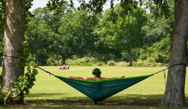 Austin City Council approves $295M parks and libraries bond proposal