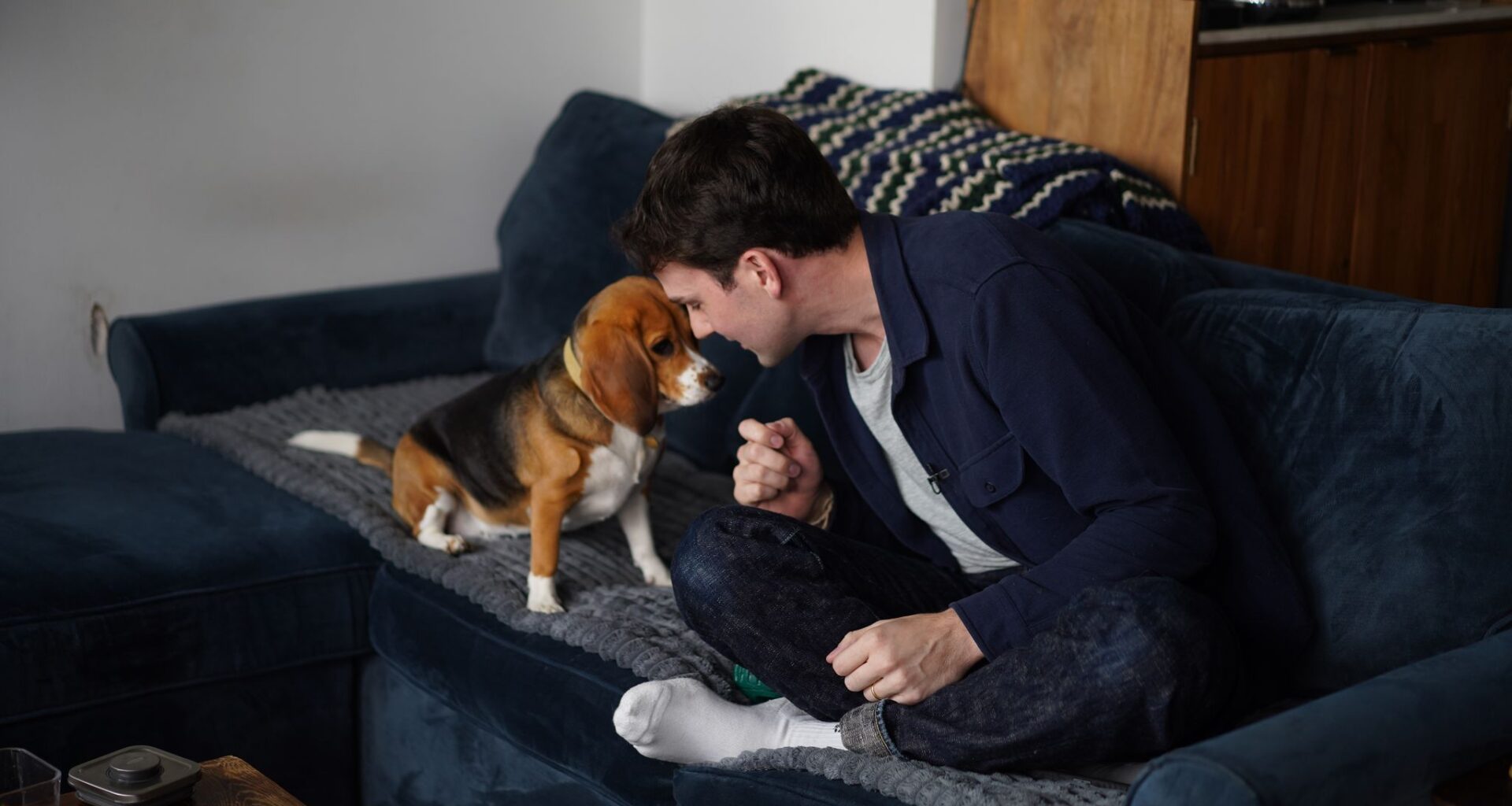 Gene-edited beagles may offer a future option for people with dog allergies